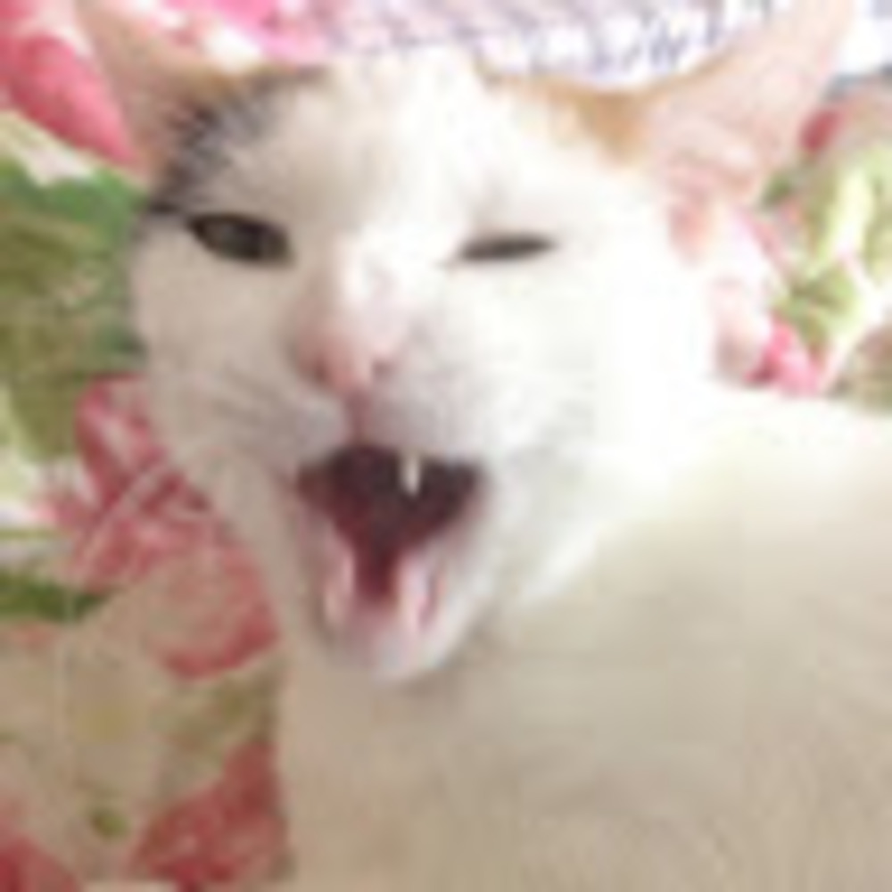 Meet your Posher, Leah